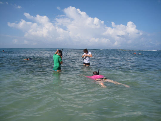 Snorkeling in the Caribbean Sea